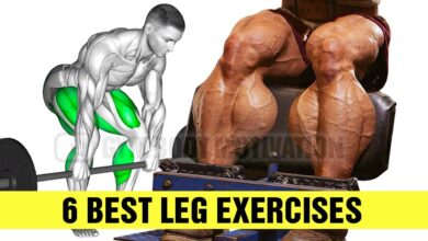 The PERFECT Leg Workout 6 Best Leg Exercises