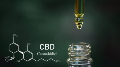 The Science Behind CBDs Health Benefits – The Endocannabinoid System