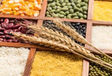 Which Grains You Eat Can Impact Your Risk of Premature