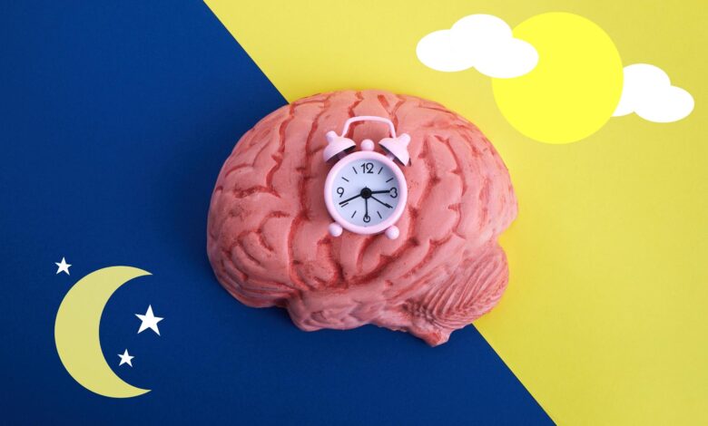 Your Body Has an Internal Clock That Dictates When You