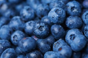 blueberries-4