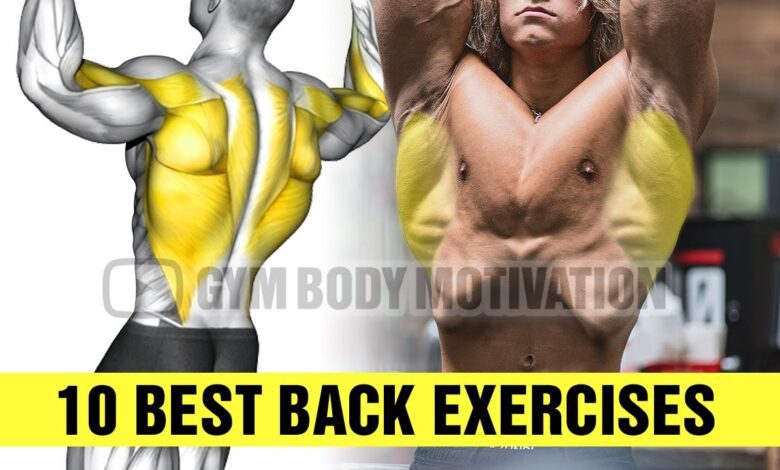 10 Exercises To Build A Big Back Gym Body