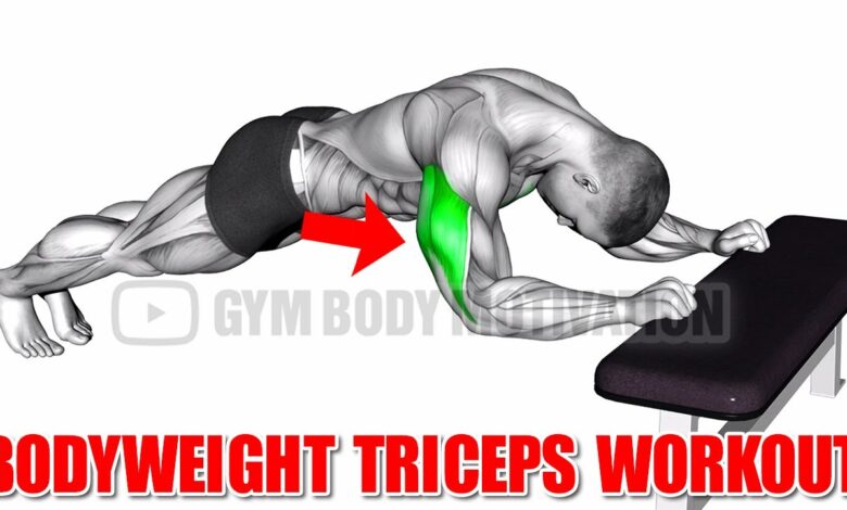 6 Best Bodyweight Tricep Exercises for Mass