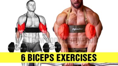 6 Bicep Exercises for Bigger Arms DONT SKIP THESE