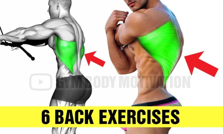 6 Exercises To Build A Massive Back Gym Body
