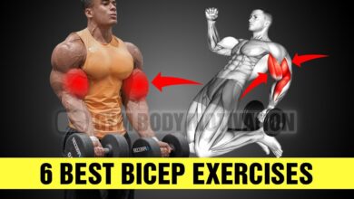 6 Quick Effective Biceps Exercises at Gym