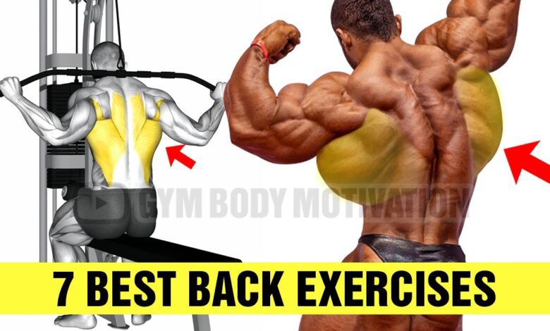 7 Fastest Effective BACK Exercises Gym Body Motivation