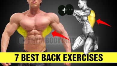 7 Most Effective Back Exercises Gym Body Motivation