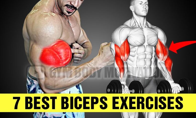 7 Perfect Biceps Exercises Get Huge Arms Gym Body