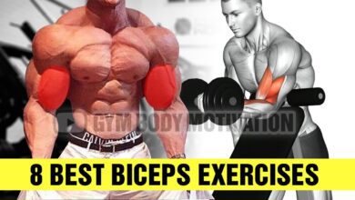8 Best Dumbbell Biceps Exercises Gym Body Motivation