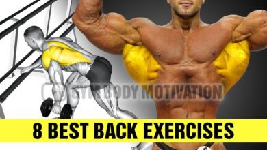 8 Exercises To Build A Big Back Gym Body