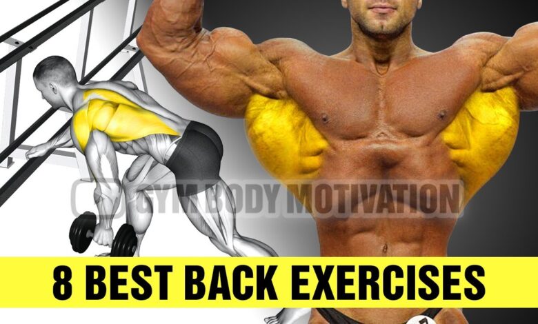 8 Exercises To Build A Big Back Gym Body