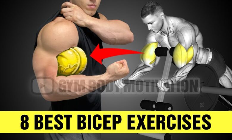 8 Fastest Effective Biceps Exercises For Bigger Arms