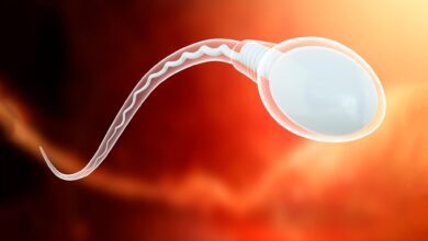 Alarming Study Shows Significant Decline in Sperm Counts Globally