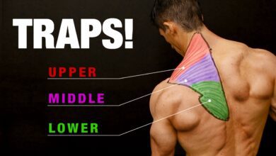 All About Traps COMPLETE GROWTH GUIDE
