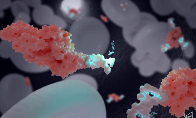 Breakthrough in Tiny DNA Nanotransporters Chemically Programmed To Treat Cancer