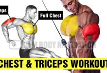 Chest and Tricep Workout Gym Body Motivation