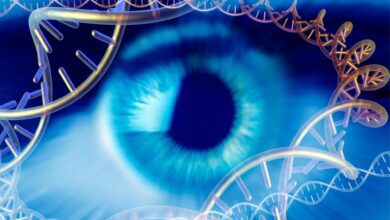 Gene Therapy Can Restore Night Vision After Decades of Congenital