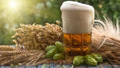 Hoppy Health Benefits – Beer Hops Compounds Could Help Protect