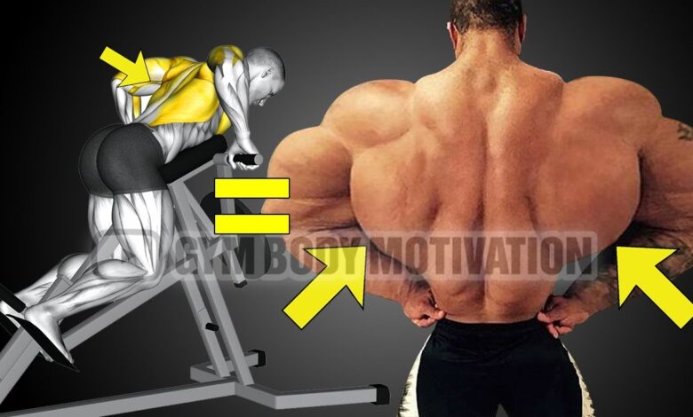 How To Build Your Back Workout 6 Effective Exercises