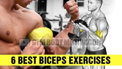 How To Build Your Biceps Fast Gym Body Motivation
