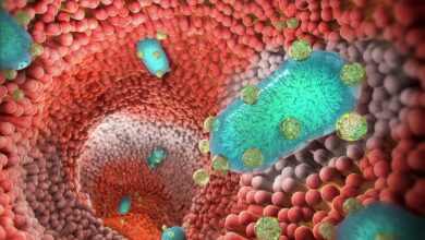 Nanoparticle Probiotic Backpacks Show Promise for Treating Inflammatory Bowel Diseases
