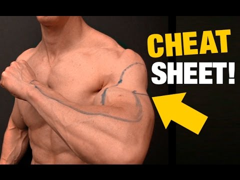 Pullup vs Chinup Grip Width CHEAT SHEET