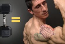 The BEST Dumbbell Exercises SHOULDERS EDITION