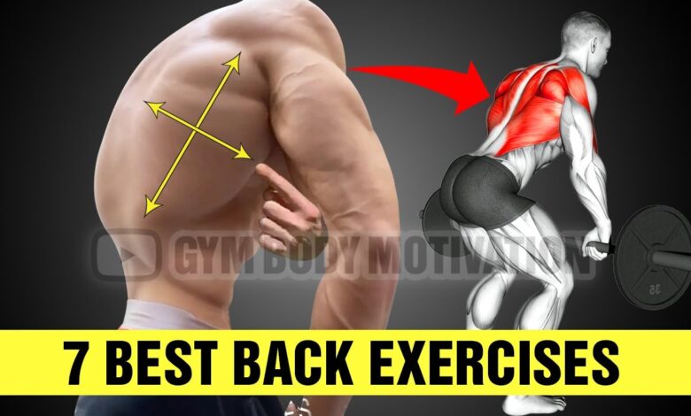 The Best Back Exercises To Build Muscle Gym Body