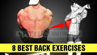 The Best Back Exercises for Mass Gym Body Motivation