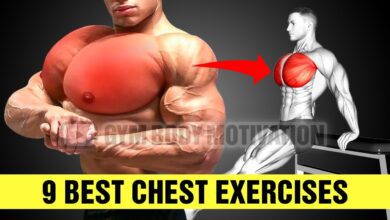 The Best Chest Exercises for Mass Gym Body Motivation