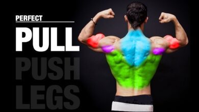 The PERFECT Pull Workout PUSH PULL LEGS