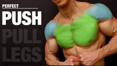 The PERFECT Push Workout PUSH PULL LEGS