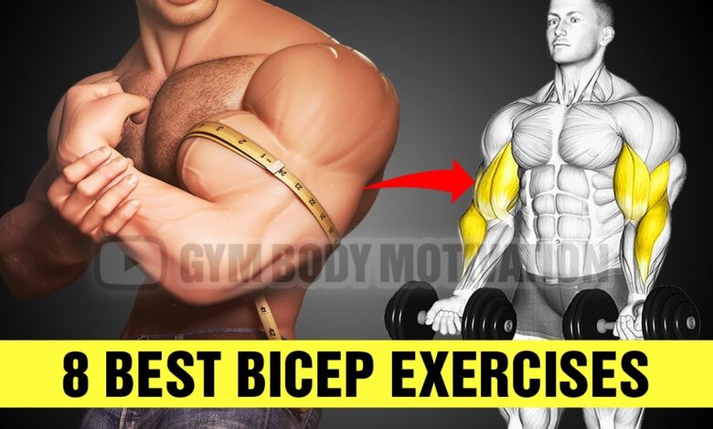 Top 8 World39s Best Bicep Exercises To Build Bigger Arms