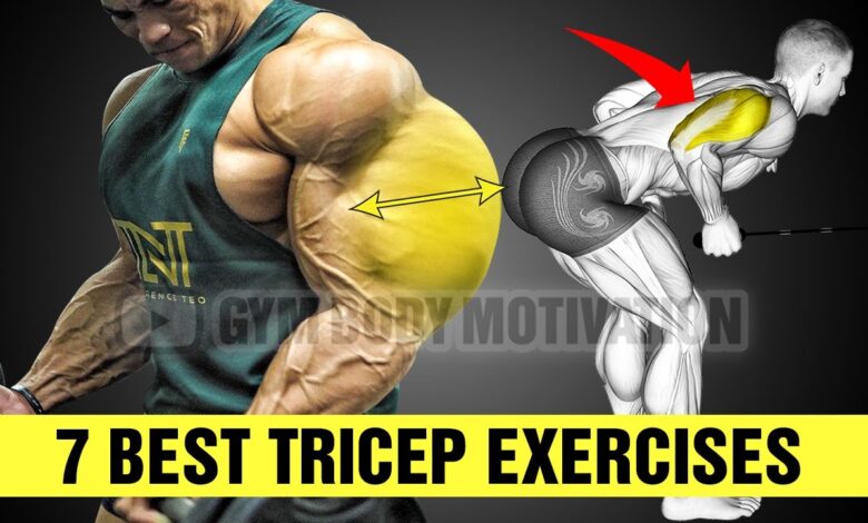 Triceps Workout at Gym for Bigger Arms Gym Body