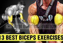 13 Bicep Exercises for Bigger Arms Gym Body Motivation