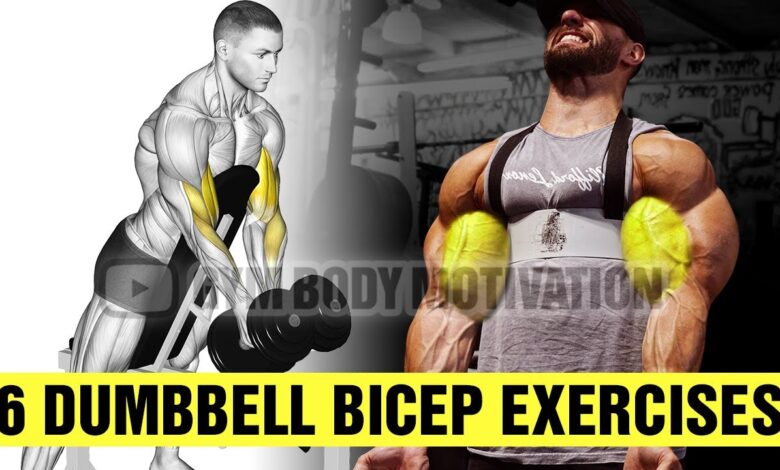 6 Best Dumbbell Biceps Exercises for Bigger Arms