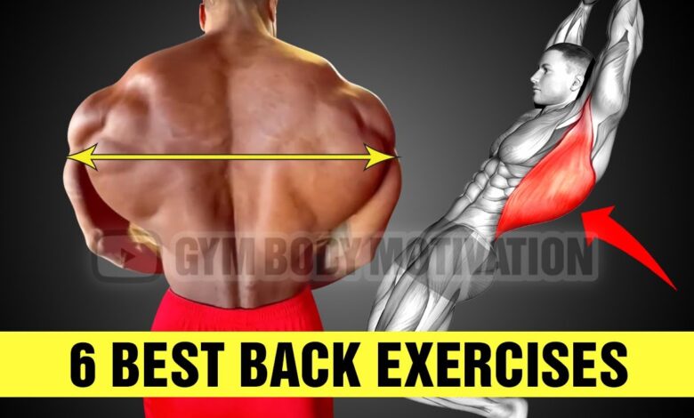6 Perfect Back Exercises For Mass Gym Body Motivation