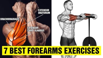 7 Best Forearms Exercises Gym Body Motivation