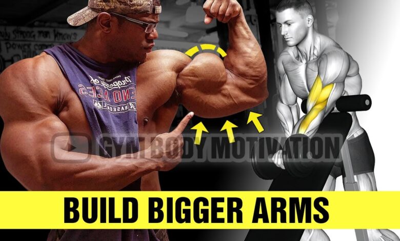 8 Exercises to Build Bigger ARMS Gym Body Motivation