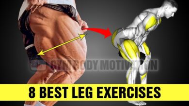 8 Perfect Legs Exercises For Mass Gym Body Motivation