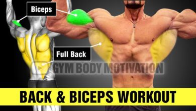 Back Biceps Workout Gym Body Motivation