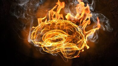 Brain on Fire – Doctors Successfully Treat a Child Suffering
