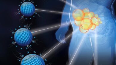 Nanotechnology Reduces Fat at Targeted Locations
