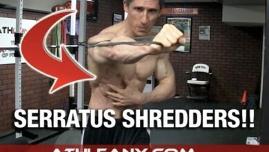 The FORGOTTEN Core Muscles Workout Serratus Shredders