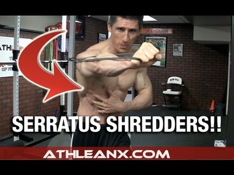 The FORGOTTEN Core Muscles Workout Serratus Shredders