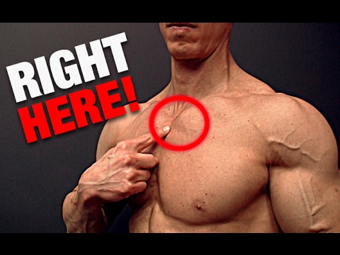 The Key to Bigger Pecs AND HEALTHY SHOULDERS