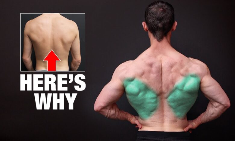 The REAL Reason Your Lats Won39t Grow