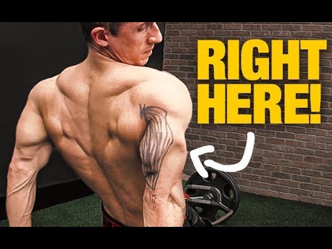 Triceps Size Secret GET BIGGER ARMS