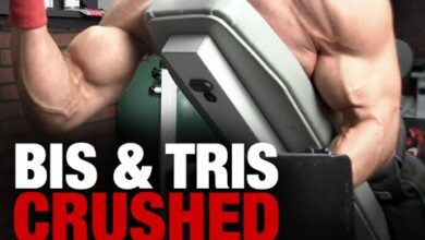 Worlds Fastest Arm Workout Biceps and Triceps 8 MINUTES